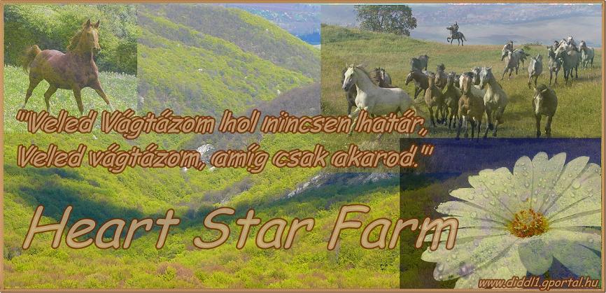 Heart Star Farm